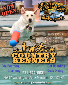 Country_Kennels2